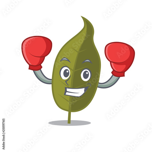 Boxing bay leaf character cartoon