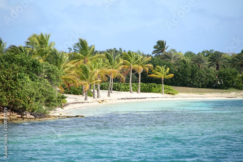 Beautiful tropical beach with turquiose sea   white sand on Green Island  Antigua  Caribbean.