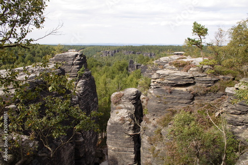 Forest canopy with high rocks. photo