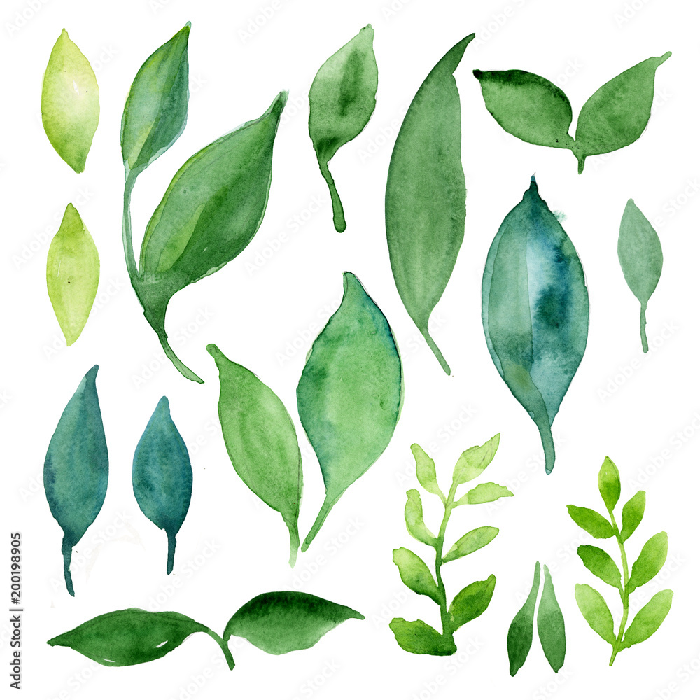 watercolor set of different leaves. green and blue color shades