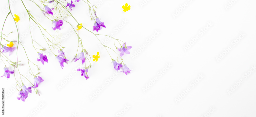 Yellow and purple meadow flowers on white background, flat lay