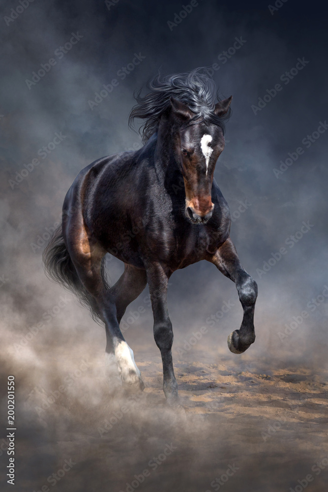 Fototapeta premium Dziki koń biegnie w ciemnym pustynnym pyle