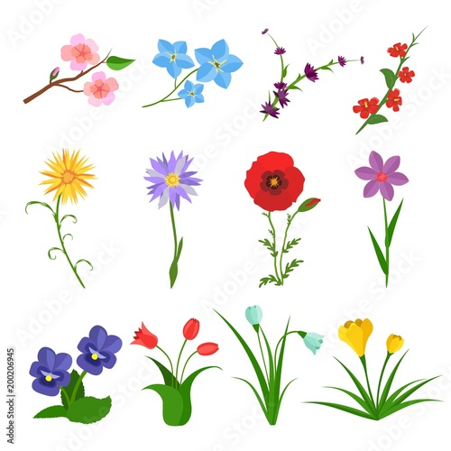 Flowers vector set on white background. Garden wild flower icons. Floral icons, summer spring flat. Rose, iris, tulip, poppy, pansy, crocus Vector illustration