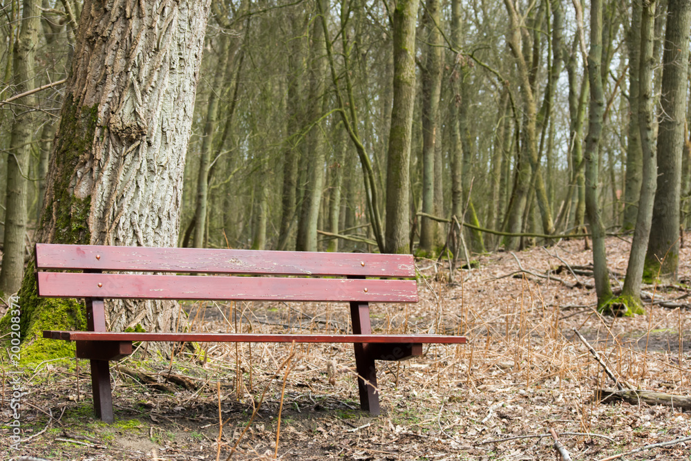 Brown Wood Wooden Bench Forest Tree Leaves Nature Sit Brown Wood Wooden Bench Forest Tree Leaves Nature Sit
