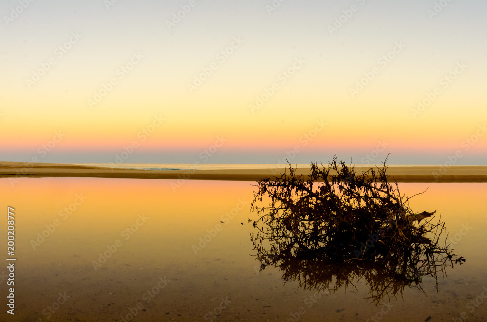 Obraz premium Scenics from the beaches of the sea of cortez, where the desert meets the sea, Baja California sur Mexico.