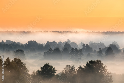 Misty Landscape. Scenic View. Morning Sky Over Misty Forest. Nat