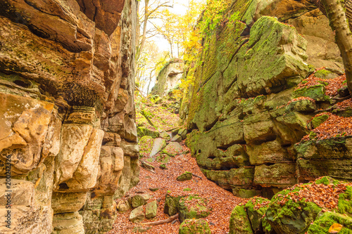 Hike along Mullerthal trail