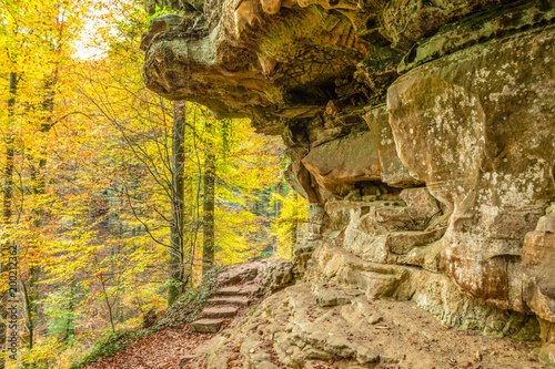Hike along Mullerthal trail