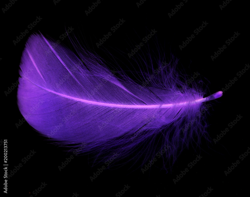 Naklejka premium Niebieskie pióro na czarnym tle