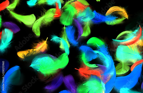 Multi-colored feathers on a black background