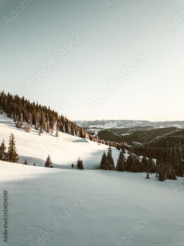 Vintage view of snowy mount...