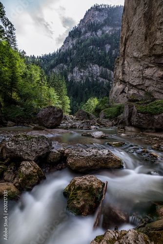 Bicaz Brook