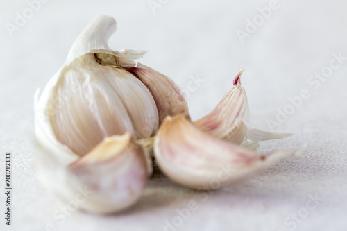 Fresh garlic bulb with disconnected cloves on white backgroung macro shoot