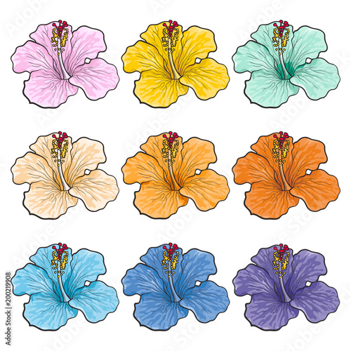 Multicolored tropical flowers hibiscuses isolated set in sketch style. Hand d...