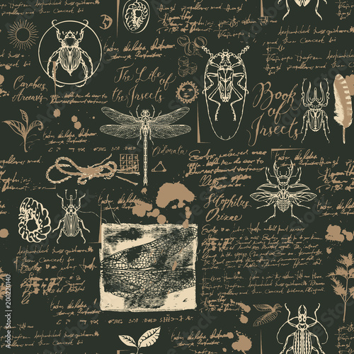 Vector seamless abstract background with insects in retro style. Beetles, dragonflies, ink stains, doodles and handwritten inscriptions on the old manuscripts. Can be used as Wallpaper, wrapping paper