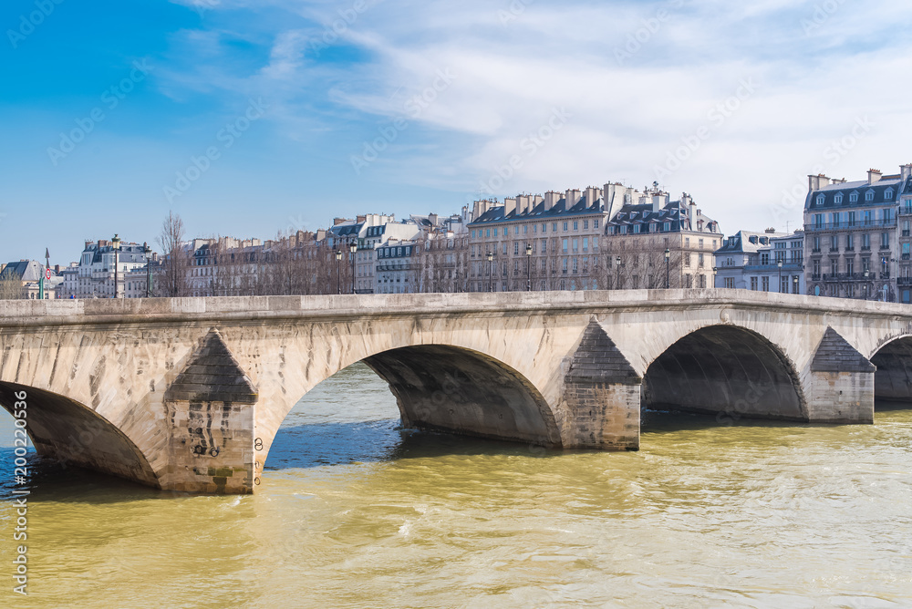Paris, the river Seine, spring, beautiful panorama with the pont Royal
