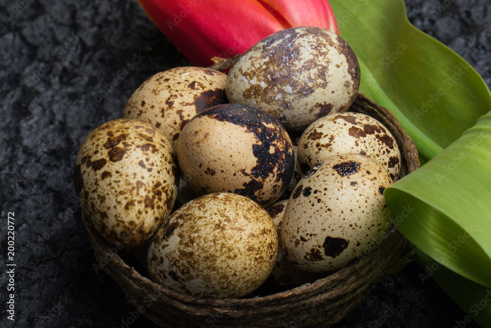 Quail eggs in the nest Quail eggs in the nest