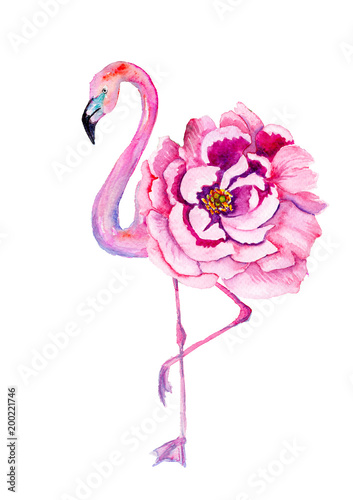 Watercolor flamingo with exotic flowers. Hand drawn illustration.