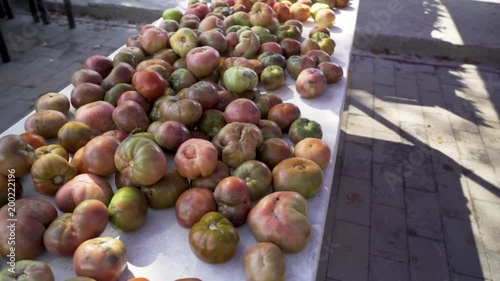 Table piled with brandywine, heirloom and cherry tomatoes at an outdoor farmers market. photo