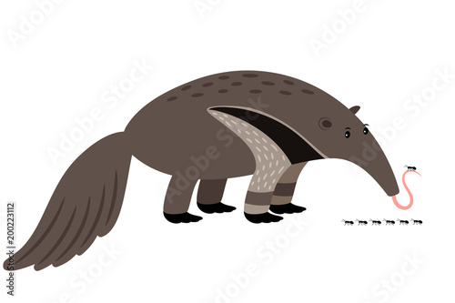 Ant-eater cartoon animal icon