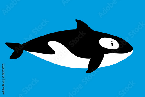 Killer whale sea animal icon