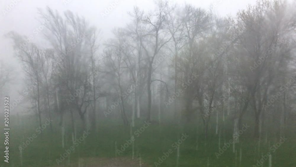 Slow pan during a heavy spring downpour with green grass and just budded trees Slow pan during a heavy spring downpour with green grass and just budded trees