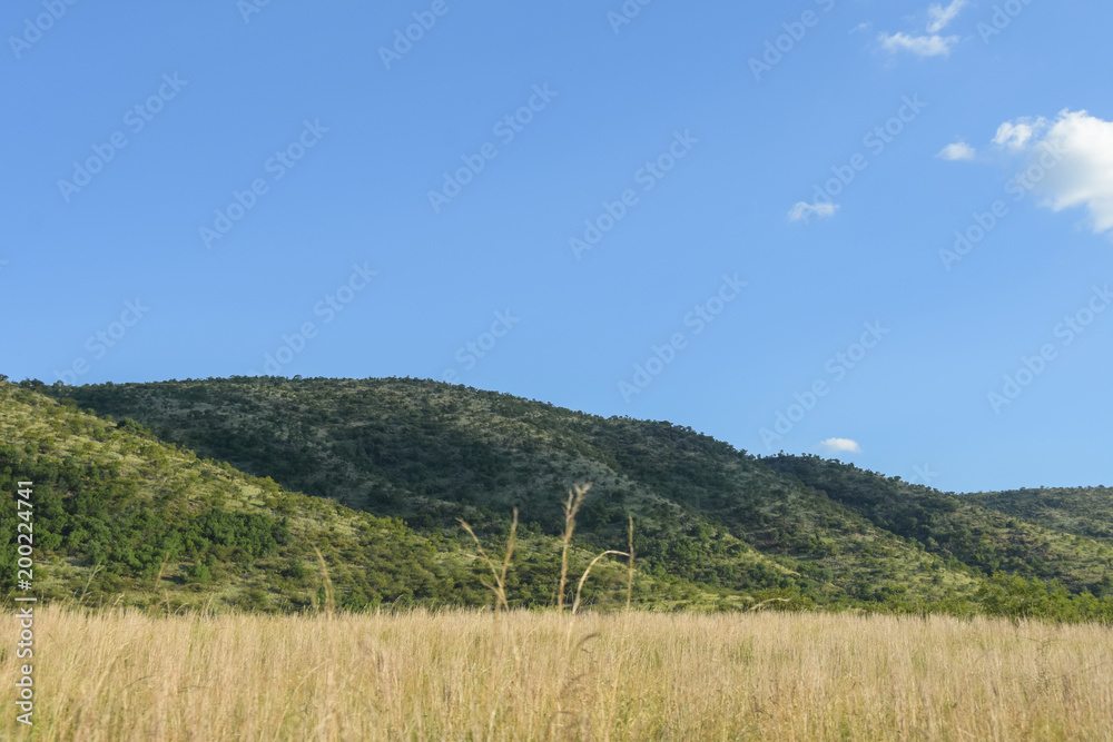 Landscape - Pilanesberg  - South Africa