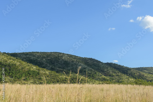 Landscape - Pilanesberg - South Africa