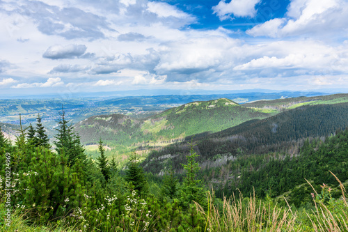 Panorama of city in mountains, spring landscape with blue sky and pine forest