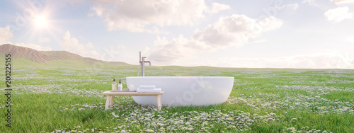 bathtube standing on beautiful meadow. 3d rendering photo