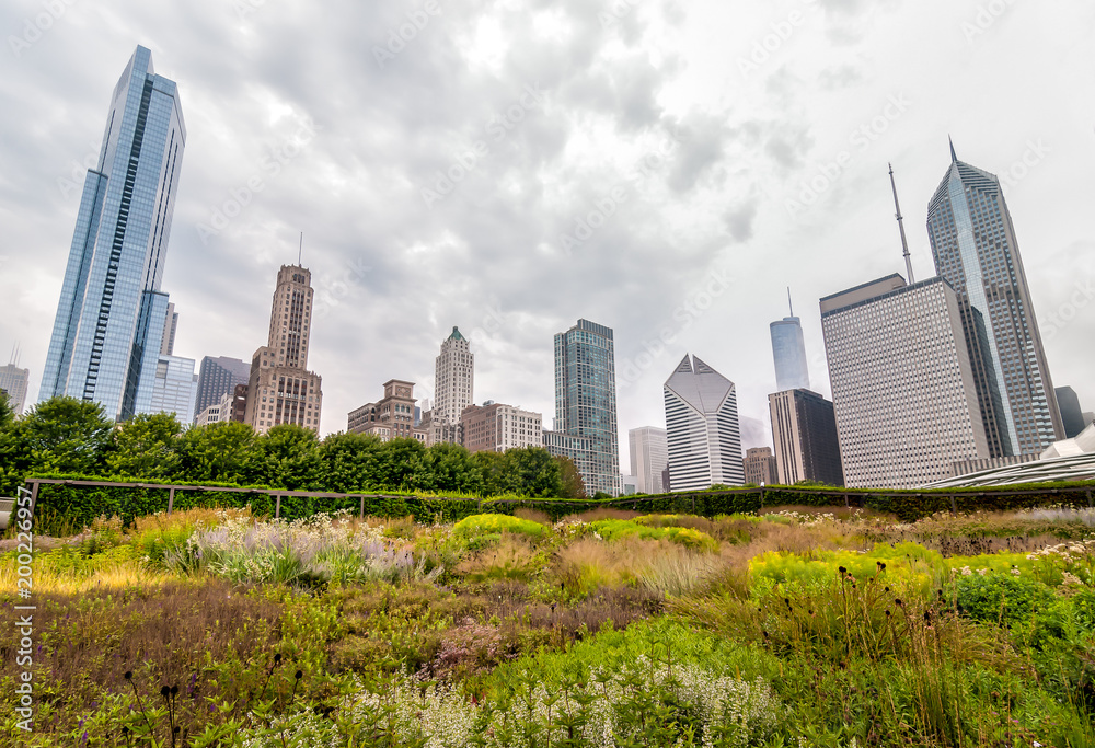 View of Chicago cityscape with skyscrapers from Millenium Park in a cloudy day, Illinois, USA View of Chicago cityscape with skyscrapers from Millenium Park in a cloudy day, Illinois, USA