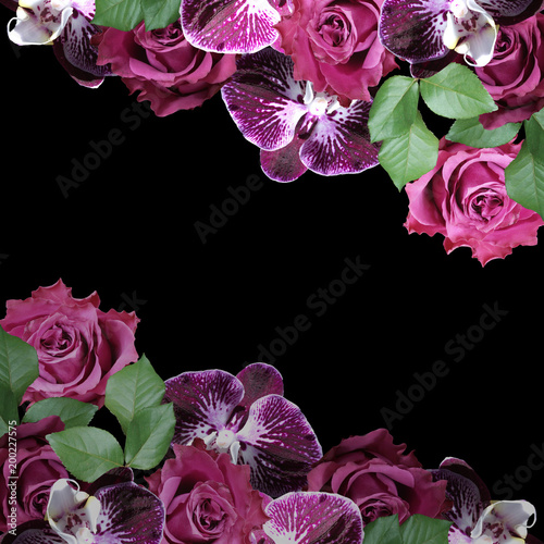 Beautiful floral background of purple roses and orchids 