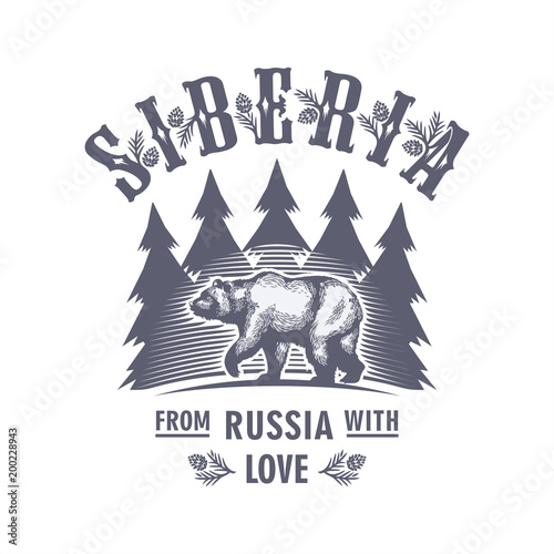 Сибирь, идущий медведь на фоне елей, Россия, любовь, иллюстрация, вектор