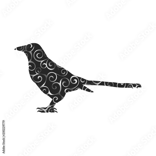 Magpie bird spiral pattern color silhouette animal