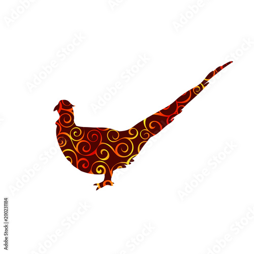 Pheasant bird spiral pattern color silhouette animal