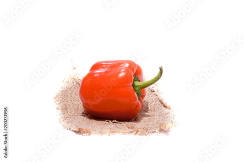 red pepper over white background photo