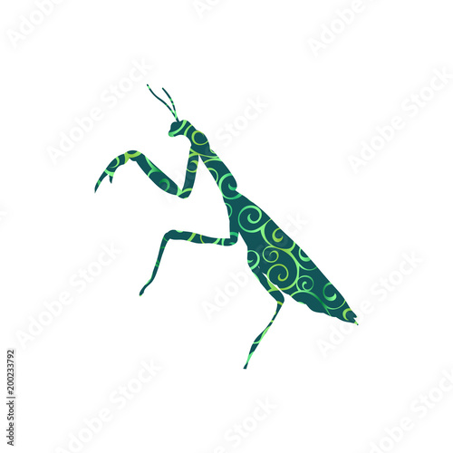 Praying mantis insect spiral pattern color silhouette animal