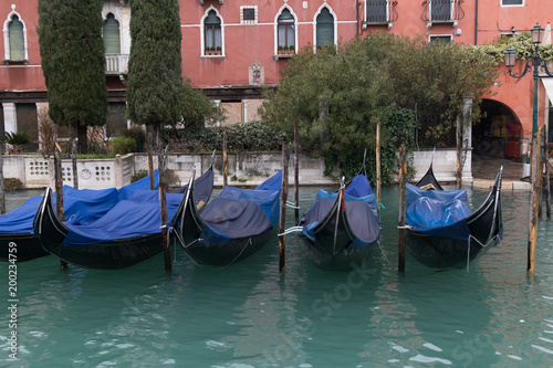 Parked covered gandolas on a pier in front of the old Italian building with tree