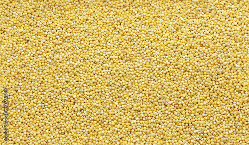 Polished millet -texture and details - traditional food