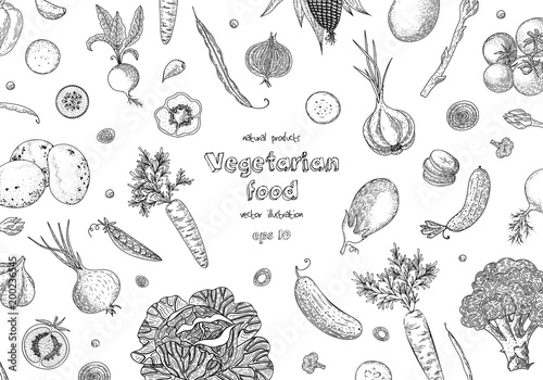 Organic vegetables food banners. Healthy food. Engraving sketch vintage style. Vegetarian food for design menu, recipes, decoration kitchen items. Great for label, poster, packaging design.