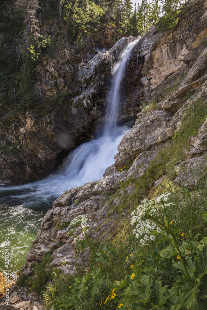 Waterfall in the Glacier National Park, Montana, USA