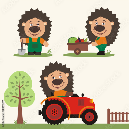 Set of funny hedgehog farmer with shovel  with wheelbarrow with vegetables  in farm tractor. Collection of hedgehog is working on the farm.