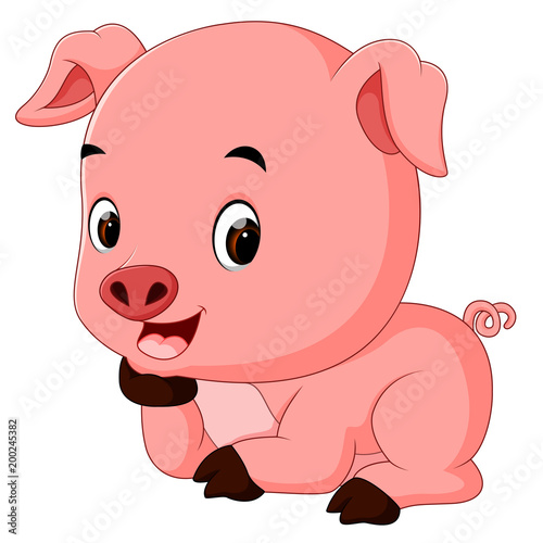 funny pig  cartoon