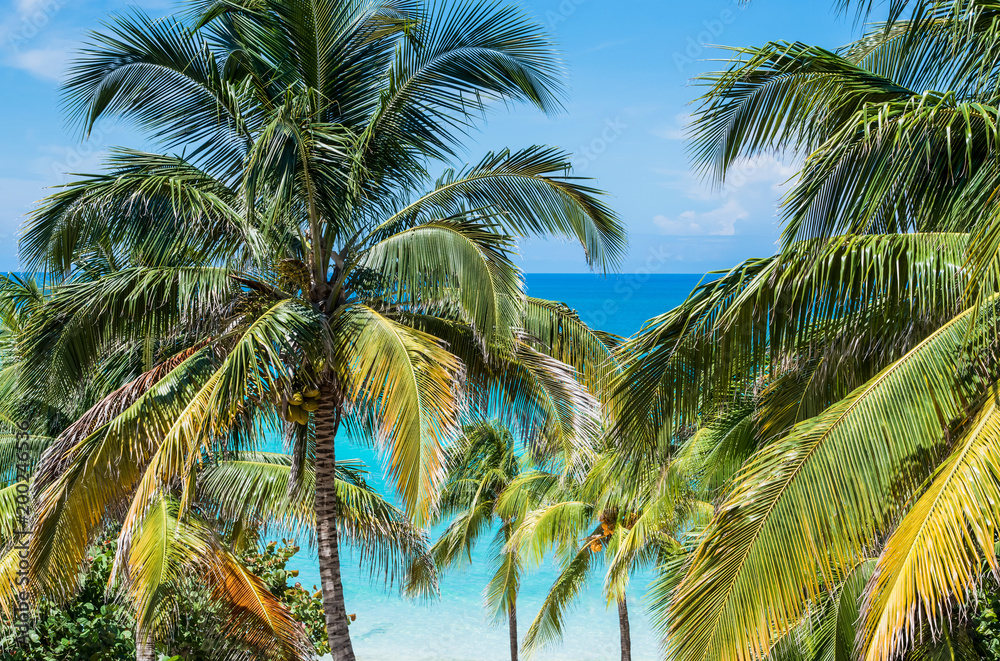 Weißer Sand und Türkises Wasser am Karibik Strand auf Kuba Varadero Weißer Sand und Türkises Wasser am Karibik Strand auf Kuba Varadero