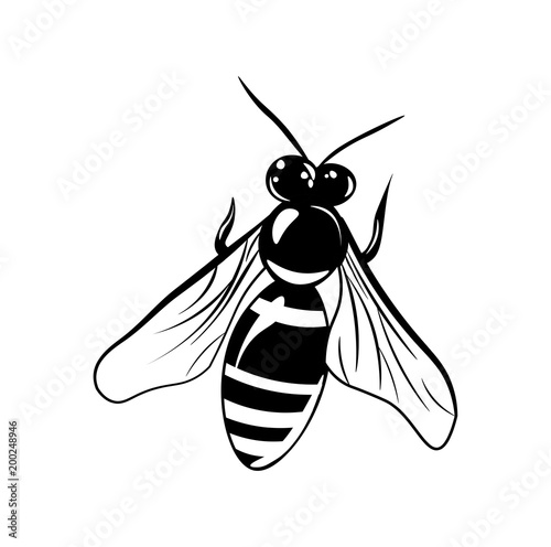 Bee  icon. isolated on white background