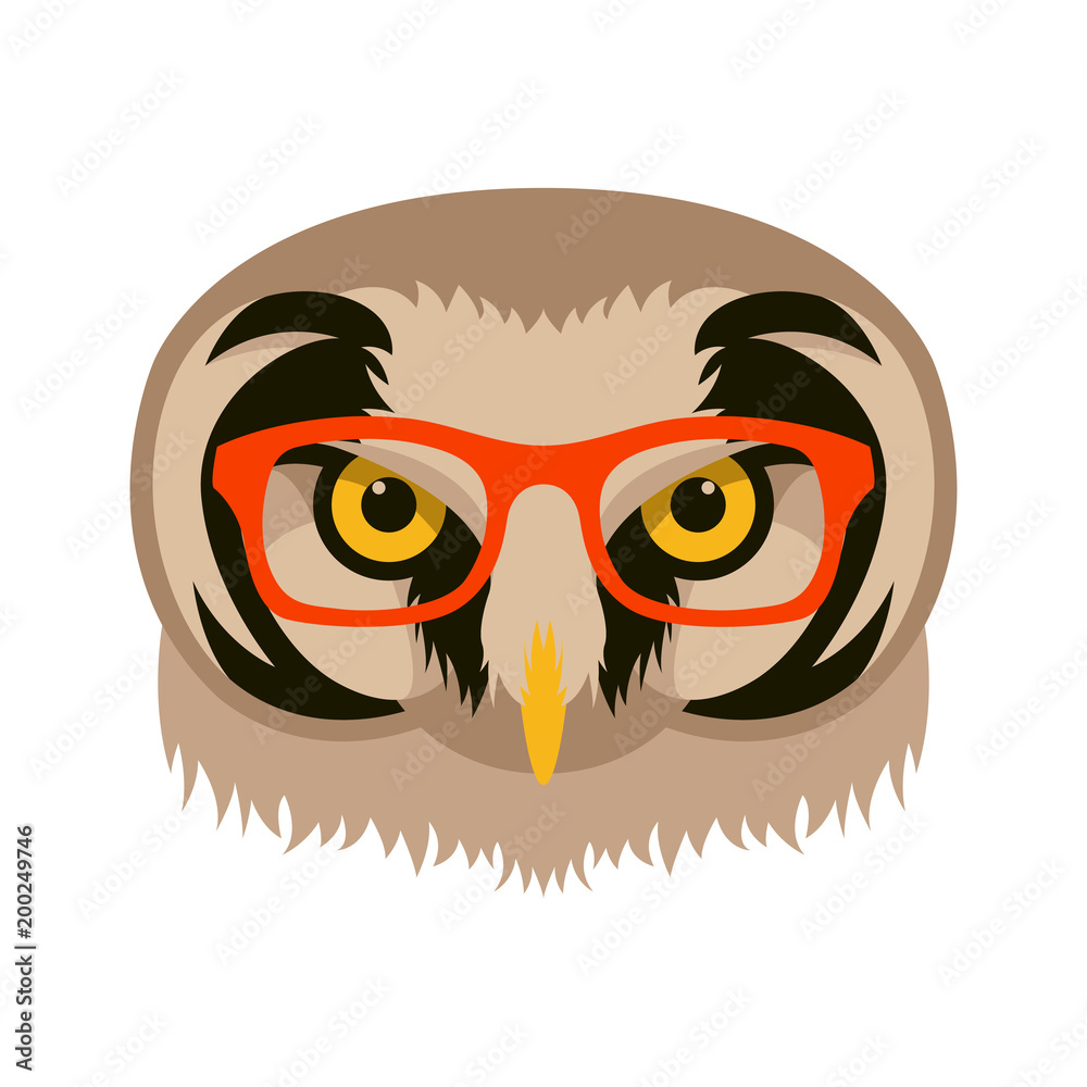 owl in glasses face vector illustration flat