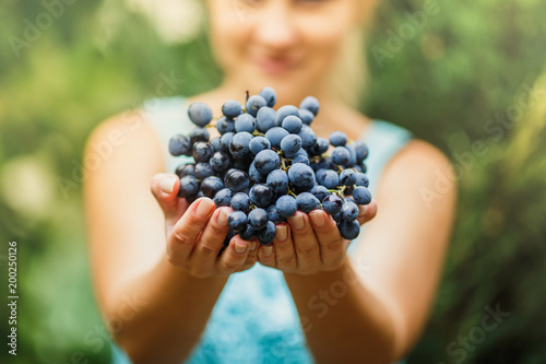 the girl is holding a fresh juicy ripe grapes