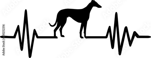 Whippet heartbeat