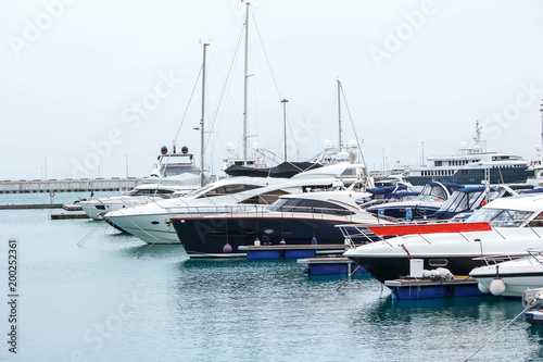 private yachts parked in the seaport of Sochi © OLGA