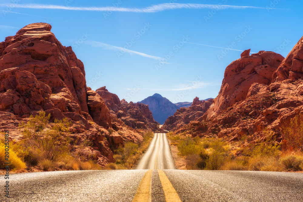 Road running through the Valley of Fire in Nevada - obrazy, fototapety, plakaty 